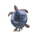 thumbnail image 2 of SPI Mother and Baby Sea Turtle Statue Hand Painted Accents, 2 of 3