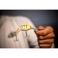 thumbnail image 4 of Berkley Flicker Shad Jointed Fishing Lure, HD Spottail Shiner, 1/3 oz, 4 of 8