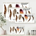 thumbnail image 4 of Designart ' Exotic Vibrant Boho Watercolor Feathers ' Bohemian & Eclectic Canvas Wall Art Print, 4 of 4