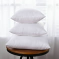 thumbnail image 1 of sdhkgrrt under $5 3Pcs Pillow Insert, Cushion Pillow Insert for Sofa, Hotel Quality Pillow Core, White Brushed Polyester Pillow Fill, Decorative Throw Pillow Insert, 1 of 9