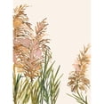thumbnail image 3 of Urban Road 12x14 Black Modern Framed Museum Art Print Titled - Fields of Gold II Poster, 3 of 5