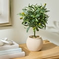 thumbnail image 6 of Better Homes & Gardens Realistic Artificial Olive Plant with Tan Ceramic Vase, 15-Inch, 6 of 7