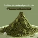 thumbnail image 4 of Mascarilla Piel Grasa Arcilla Verde 140ml Dreamy Skin, 4 of 5