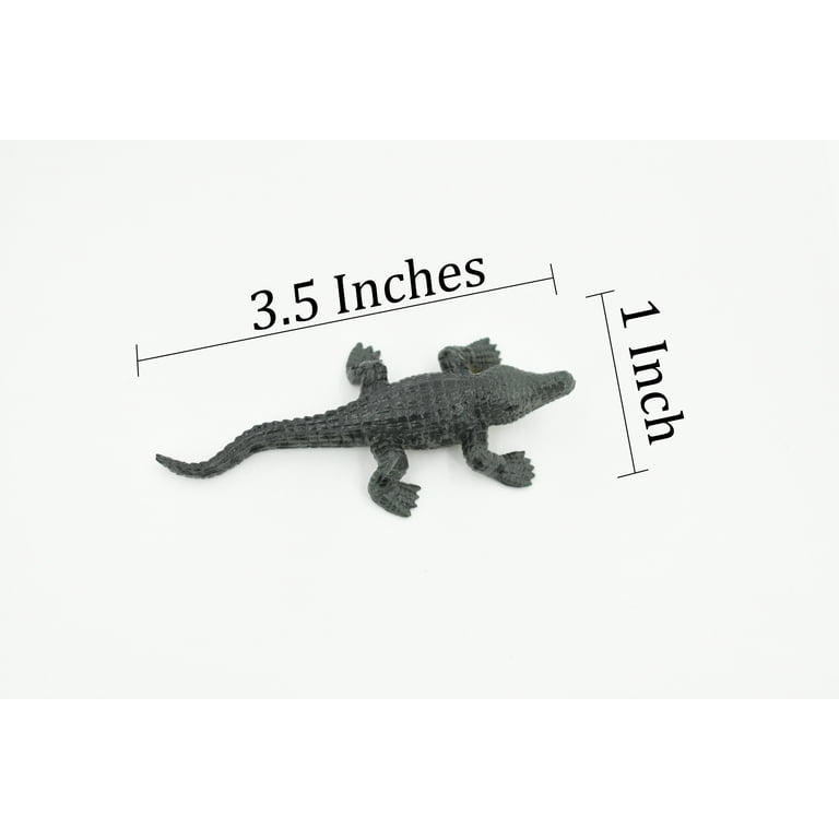 Crocodile, West African Dwarf Crocodile, Rubber Toy Reptile