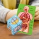 thumbnail image 2 of Rompecabezas de anatomía humana Estructura Niños Niños Juguetes de aprendizaje Rompecabezas, 2 of 7