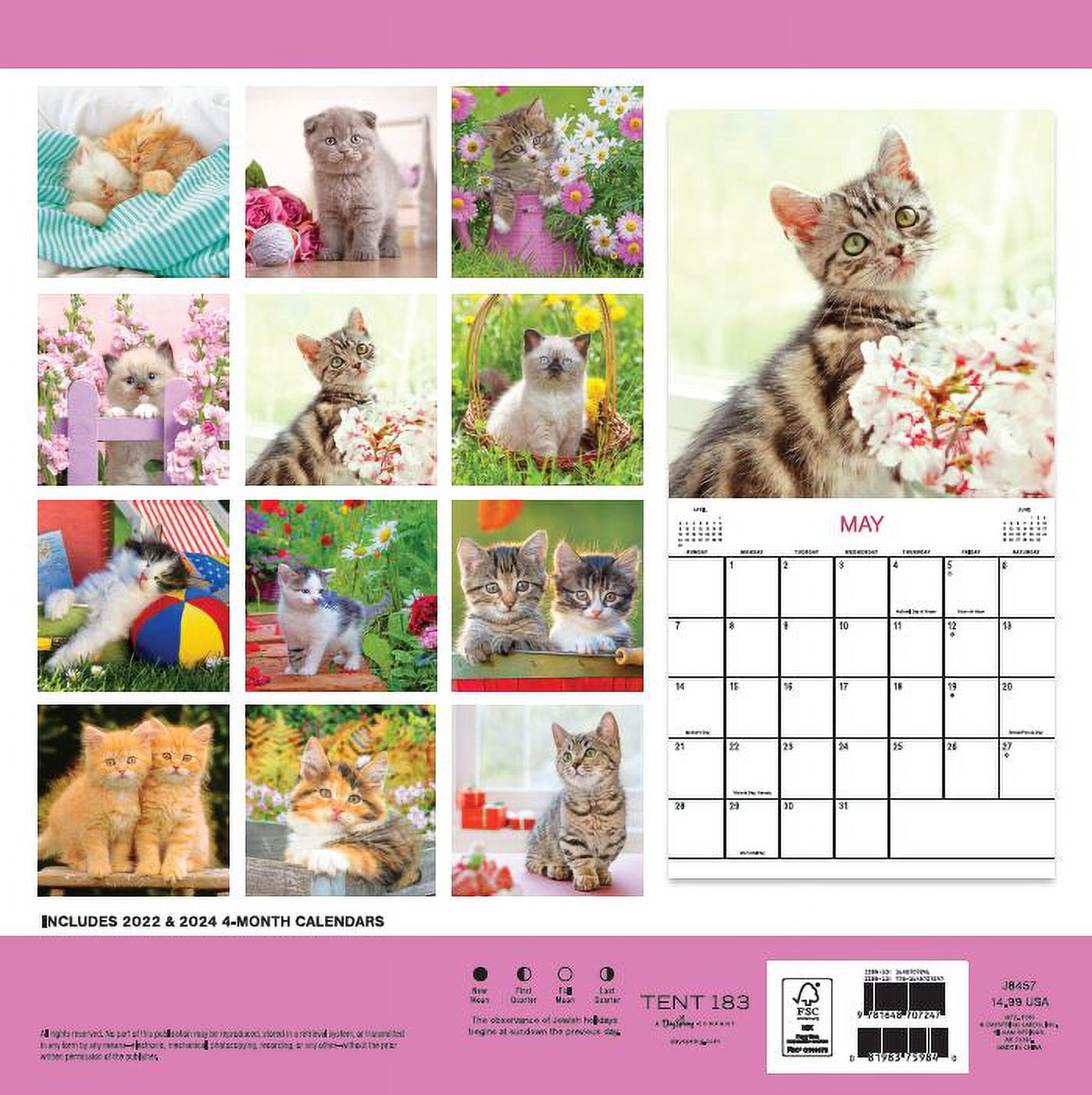 2023-12 Month Calendar- Kittens 12x12 Hanging Wall Calendar by DaySpring