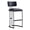 Black, variant on Juno Contemporary Modern Metal Barstool in Ivory