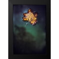 thumbnail image 2 of Mossholder, Tim 13x18 Black Modern Framed Museum Art Print Titled - Leaf on Water, 2 of 5