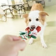 thumbnail image 2 of Vibrant Life Rubber Ring with Rope Dog Toy, 2 of 3