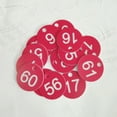 thumbnail image 3 of Number Tags 1-100 Numbered Labeling Tags with Hole Easy Fastened 100PCS Plastic for Key Tags Identification Tags for Loc, 3 of 12