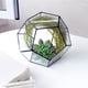 thumbnail image 5 of Macetero de cristal, maceta de cristal con forma geométrica elegante, muy versátil, 5 of 8