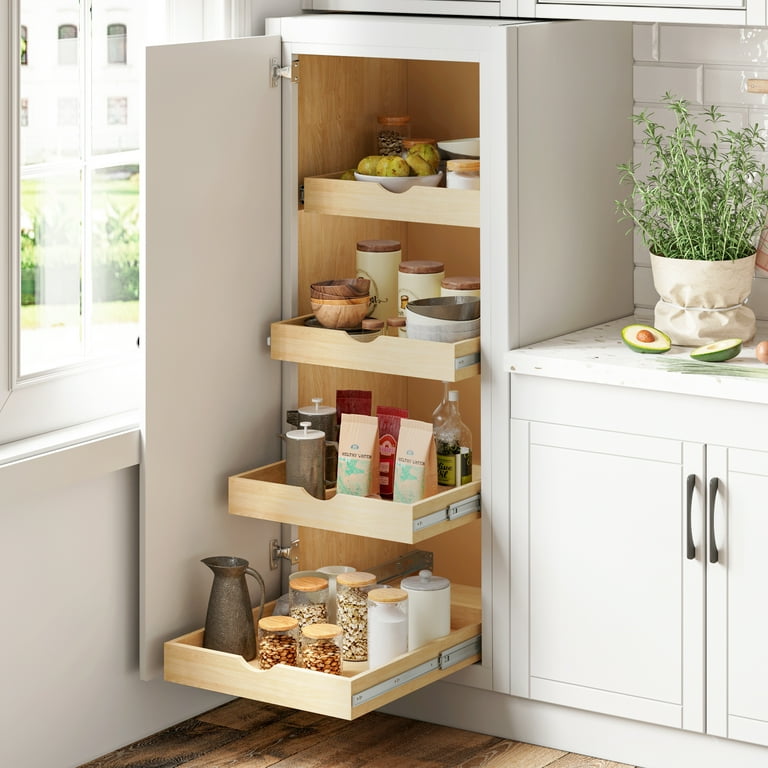 Kitchen cabinets pull out discount