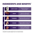 thumbnail image 4 of Host Defense MycoBotanicals Brain & Body* Powder - 3.5 oz (33 Servings), 4 of 9
