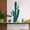 Multicolor, variant on Clearance Wall stickers under $5,Green Cactus Wall Decals Tropical Wall Stickers DIY Peel And Stick Art Murals For Kids Room Bedroom Living Room Bathroom Kitchen Office Home Decoration