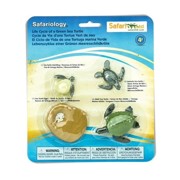 Safari Ltd. Life Cycle of a Green Sea Turtle - Educational Toy Figurines - Miniature Turtle Lifecycle Collection for Kids Age 4 