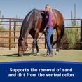 thumbnail image 5 of Farnam SandClear Natural Psyllium Crumbles for Horses, 50 Pound, 160 Scoops, 5 of 14