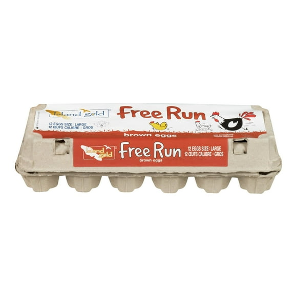 Island Gold Large Free Run Brown Eggs, 12 eggs / carton