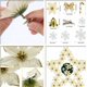 thumbnail image 4 of 120 piezas conjunto de flores de Navidad colgante de decoración de árbol de Navidad 2019 nuevo producto modelo de explosión transfronteriza flor de simulación de flor de plástico (conjunto rojo), 4 of 5