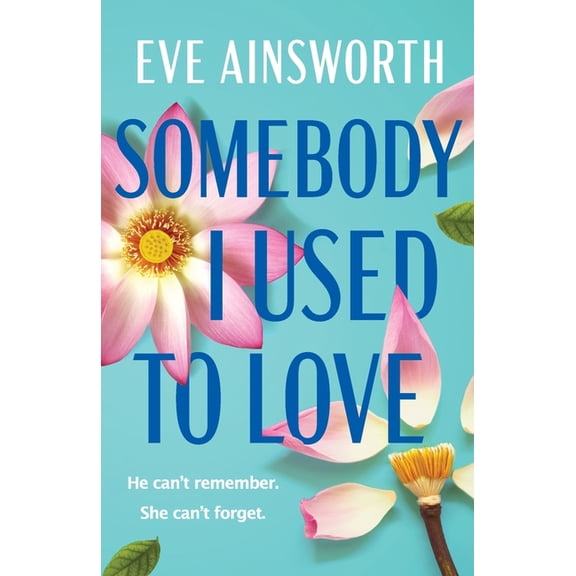 Somebody I Used to Love, (Paperback)