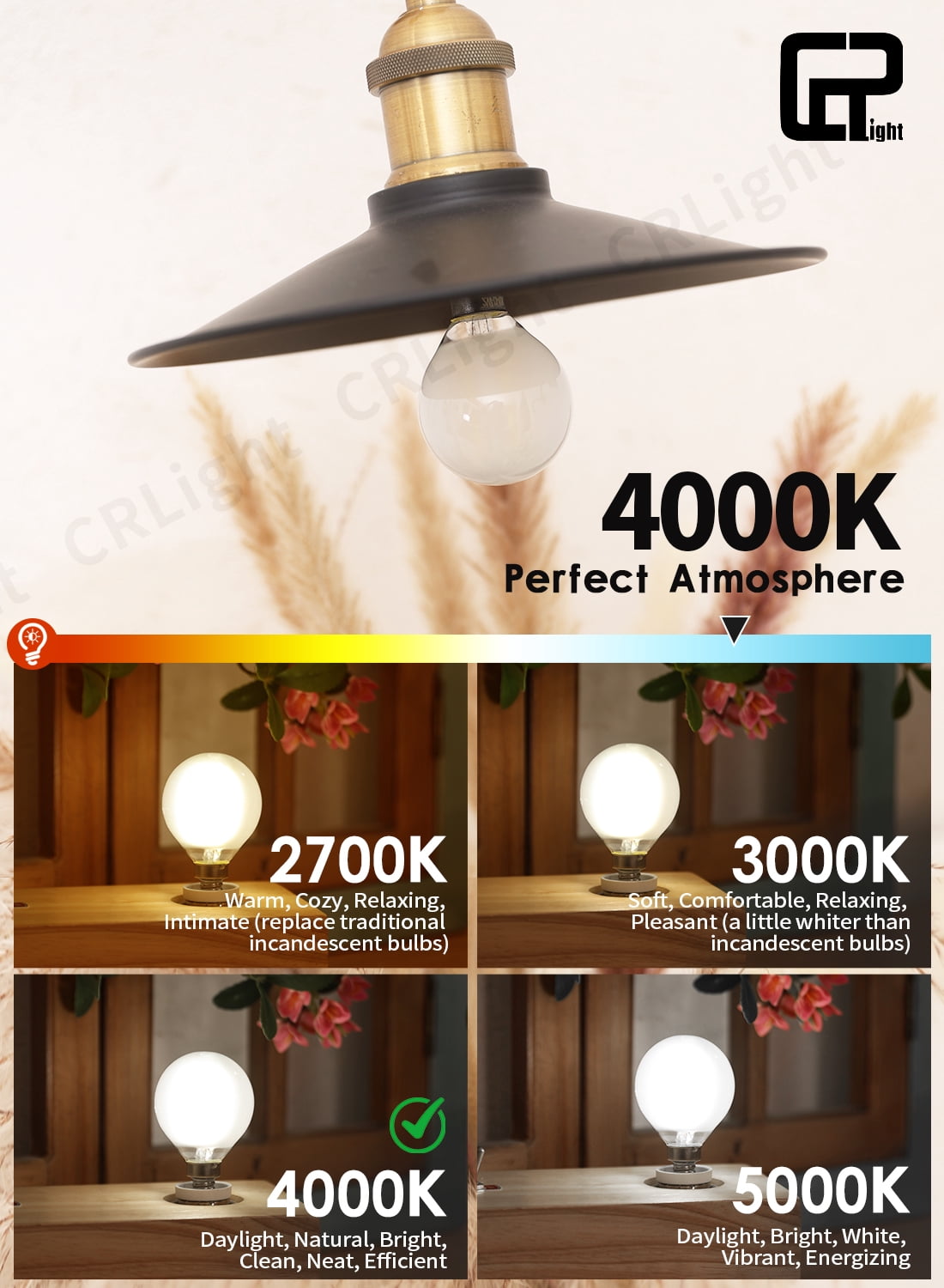 CRLight LED 2W (25W Equivalent) Neutral White E12 G50 Decorative Light Bulbs, 12 Pack