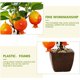 thumbnail image 4 of Bonsái de frutas, pequeños adornos creativos, decoraciones de flores de simulación, plantas verdes de simulación, 4 of 5
