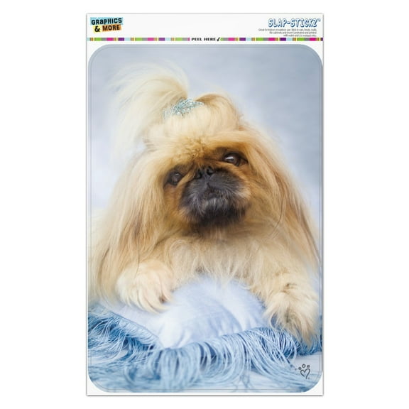 Shih Tzu Dog Blue Feathers Tiara Home Business Office Sign