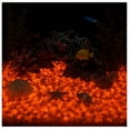 thumbnail image 5 of Tuvgenk Luminous Glow Glow in The Dark Garden Stones 200 Pc Orange Outdoor Decorative Stones for Crafts Durable 13-9mm Diamond for Landscaping, 5 of 6