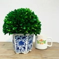 thumbnail image 2 of 7.9" Preserved Boxwood Ball Tree in a Greek-style Blue and White Ceramic Pot - with Hand-Painted Floral Designs, Adding an Elegant Look to any room - Indoor/Outdoor Garden & Windowsills., 2 of 2