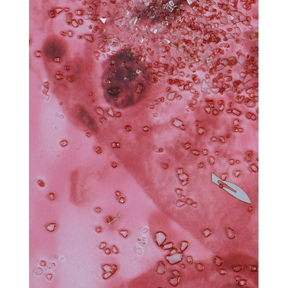 Damien Hirst: Beyond Belief, (Hardcover)