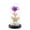 G 1N7, variant on Staron under $5! LED Rose Flower in Glass Dome, Romantic Light Up Valentine Gift, Heart-shaped Home Decor
