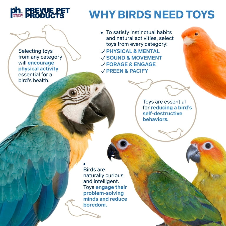 PREVUE NATURALS PRINCESS BIRD TOY PREVUE NATURALS PRINCESS BIRD TOY