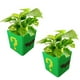 thumbnail image 1 of Maceta Decorativa 3D Joker JokeFlowy 2 Pzs 14x14x14cm Verde Amarillo y Negro No incluye Planta., 1 of 2