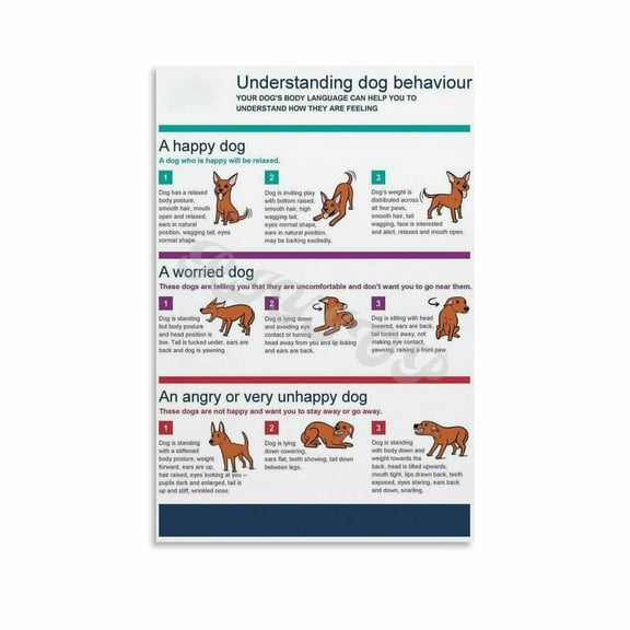 Common Dog Behaviors Explained Poster Dog Body Language Poster Canvas Painting Posters And Prints Wall Art Pictures for Living Room Bedroom Decor