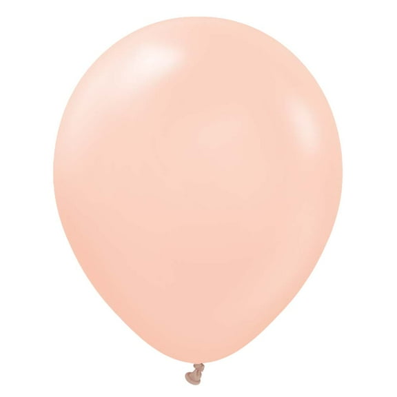 12 inch Kalisan Macaron Salmon Latex Balloons (10 Pack) - Party Supplies Decorations