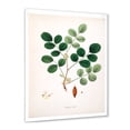 thumbnail image 2 of Designart 'Ancient Plant Life XI' Farmhouse Framed Art Print, 2 of 4