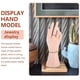 thumbnail image 3 of 1Pc Practical Jewelry Holder Bracelet Rack Plastic Hand Model Ring Stand, 3 of 4