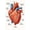 Framed, variant on Heart structure poster Suitable for medical education posters for students, and can also be used as classroom and hospital office decoration