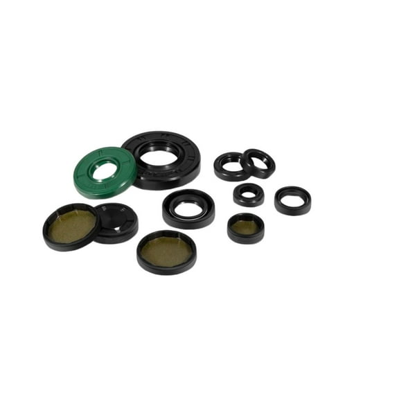 72994 Transaxle Seal Service Kit for Hydro-Gear ZT-2800 ZT-3100 ZT-3200 and ZT-3400 Rebuild, Charge Pump Gerotor Seal Part, 30-piece set