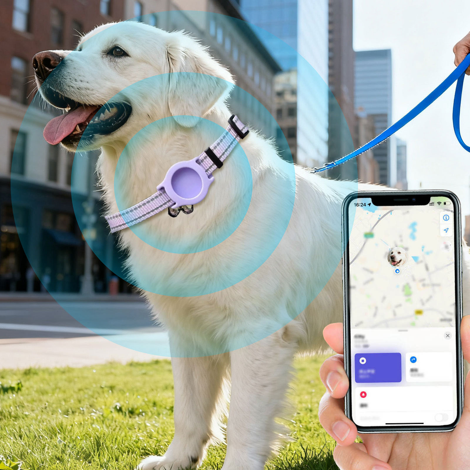 GPS Pet Locator Tracker with Adjustable Collar for Dogs & Cats, Long Battery Life Real-Time Tracking Device, Compatible with iOS Android for Anti-Lost Pet Location Monitoring