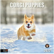 Corgi Puppies 2022 Hangable Wall Calendar - 12" x 24" Opened - Thick & Sturdy Paper - Giftable -