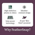 thumbnail image 6 of Smart Birdfeeder with AI Identification and Wi-Fi Solar Powered, Captures HD Pictures and Videos Sent Directly to Your Phone (Bird Feeder & Starter Kit)$$Garden & Patio, 6 of 9