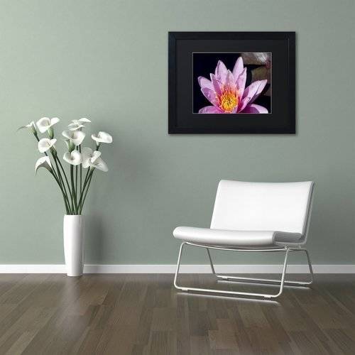 Trademark Fine Art "Pink Water Lily" Canvas Art by Kurt Shaffer, Black Matte, Black Frame
