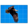 thumbnail image 1 of Picture-Tiles.com: Bird Ceramic Tile Wall Mural WAL500155-64S. 25.5"W x 17"H using (24) 4.25" x 4.25" Ceramic Tiles-Satin Finish, 1 of 3