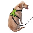 thumbnail image 2 of Fotbe Lime green glitter Arnés para Perro con Estampado –Chaleco Ajustable Acolchado con Asa de Control para Perros Grandes-Medium, 2 of 6