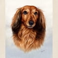 thumbnail image 3 of CafePress - Dachshund Red Longhair 1 Tote Bag - Unisex Canvas Tote Bag, Beige, 1-Piece, 3 of 8
