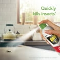 thumbnail image 4 of Raid Essentials Indoor Ant and Roach Killer Aerosol, 10 oz, 4 of 20