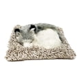 thumbnail image 1 of Peluche interactivo de peluche Perfect Petzzz Alaskan Husky, 1 of 3