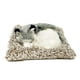 thumbnail image 1 of Peluche interactivo de peluche Perfect Petzzz Alaskan Husky, 1 of 3