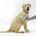 thumbnail image 3 of ziyahi Multi-Angle Adjustable Pet Comb Dog Steel Pin Brush Pet Cleaning Comb Sky-blue, 3 of 6