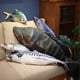 thumbnail image 3 of Simulated Sea Fish Plush Toy Mackerel Pike Tuna Salmon Plushie Stuffed Animal, 3 of 3